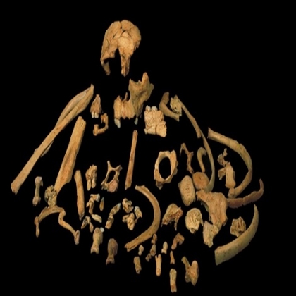 Un fósil revela que el Homo erectus ya vivía en África 200 mil años antes de lo que se creía