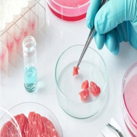 La carne cultivada en laboratorio se enfrenta a importantes obstáculos