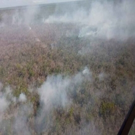 Chetumal: Incendio incontrolable arrasa con la reserva protegida de Uaymil