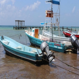 Playa del Carmen: Se mantienen turisteros con la captura de escama