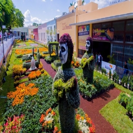 Mérida y su camino de flores, un exitoso atractivo para chicos y grandes