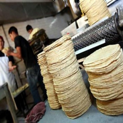 Molineros descartan alza en la tortilla en Yucatán... por ahora