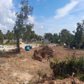 Familias invaden terreno conocido como “La Antigua Jungla” en Chetumal