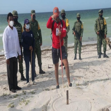 Ejército evitará saqueo y destrucción de nidos de tortuga en Telchac Puerto