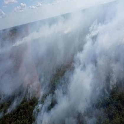 Chetumal: Finaliza temporada de incendios con menos afectación en Quintana Roo