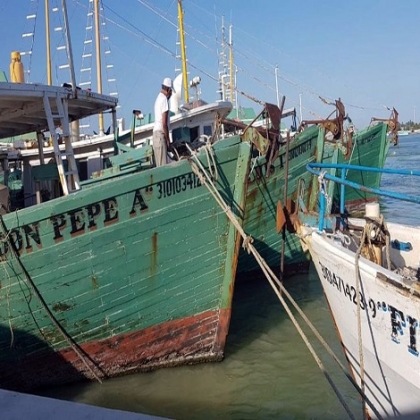 Yucatán: Ante reportes positivo, más barcos se hacen a la mar por el mero