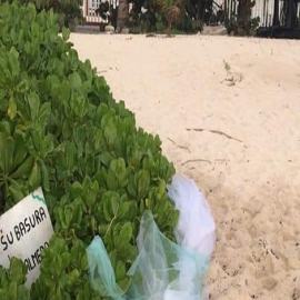 Chetumal: Contaminan bodas privadas el manglar en Mahahual