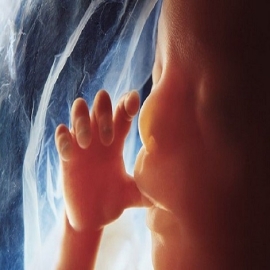 El Parlamento Europeo declara el aborto ‘como un derecho humano’ con la principal oposición de VOX