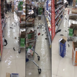 El video viral que muestra cómo un supermercado se convirtió en acuario