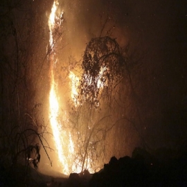 Tiene Quintana Roo 40 incendios; hoy llegan brigadas de otros estados