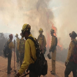 Chetumal: Incendio forestal devora reserva de la biosfera de Sian Ka’an