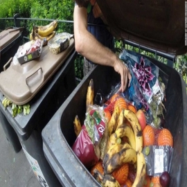 Casi una quinta parte de los alimentos producidos en el mundo terminan en la basura, según un reciente estudio de la ONU