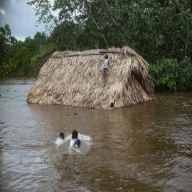 Chetumal: Lluvias afectan a habitantes, viviendas, cultivos y animales de traspatio