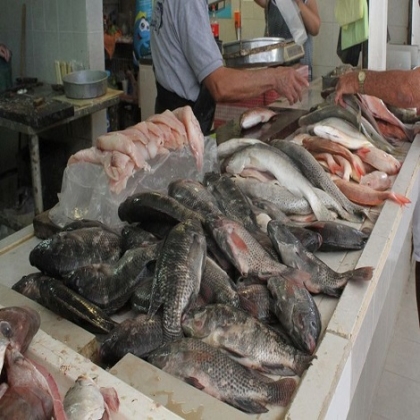 Quintana Roo: Pescaderías estarán en la mira de la Cofepris durante Semana Santa
