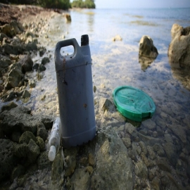 Microplásticos invaden el Caribe mexicano. Se enquistan en peces y corales. Se irán, pero en décadas