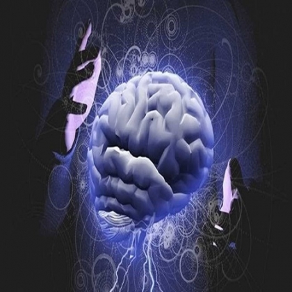 La proteína «Magneto» modificada genéticamente controla a distancia el cerebro y el comportamiento