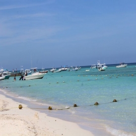 Playa del Carmen: Contrato para tener las playas libres de sargazo llega a su fin