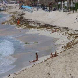 Cancún: Quedan estancados proyectos de recuperación de playas en Quintana Roo