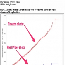 Los gráficos que muestran la brecha entre las vacunas contra la Covid y los placebos