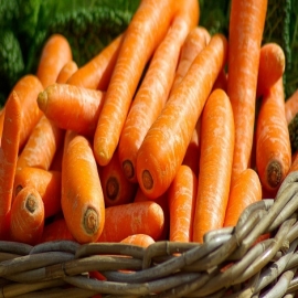 Zanahoria: todas las propiedades y beneficios de la hortaliza multivitamínica