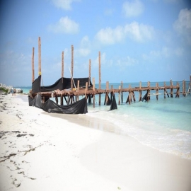 Cancún: Obras del atracadero Molla Nero debieron concluir en enero