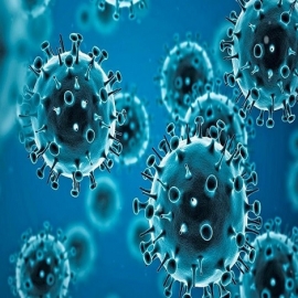 La OMS reconoce que la inmunidad natural al COVID-19 puede ser tan efectiva como la vacuna